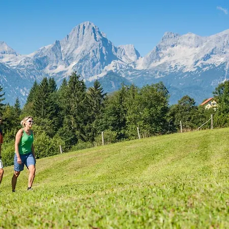 Stockerhutte - Ferienhaus Vorderstoder